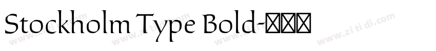 Stockholm Type Bold字体转换